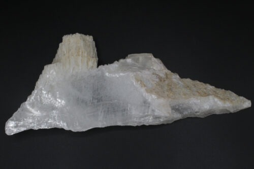 Selenite Heart Stone with Coral Edges & Dragon's Tooth