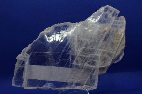 Selenite with Coral Altar Piece (7.5 x 0.50 x 4.5)