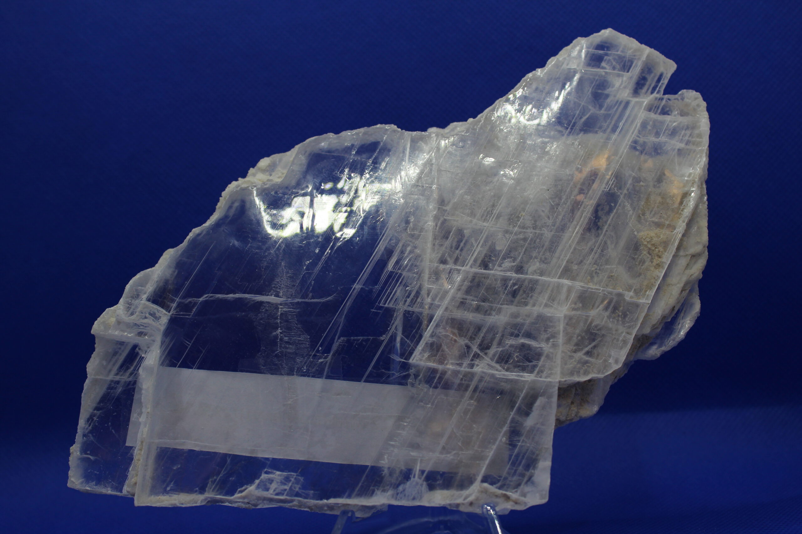 Selenite with Coral Altar Piece (7.5 x 0.50 x 4.5)