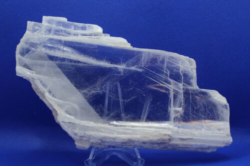 Selenite with Coral Altar Piece (6 x 0.25 x 5.25)