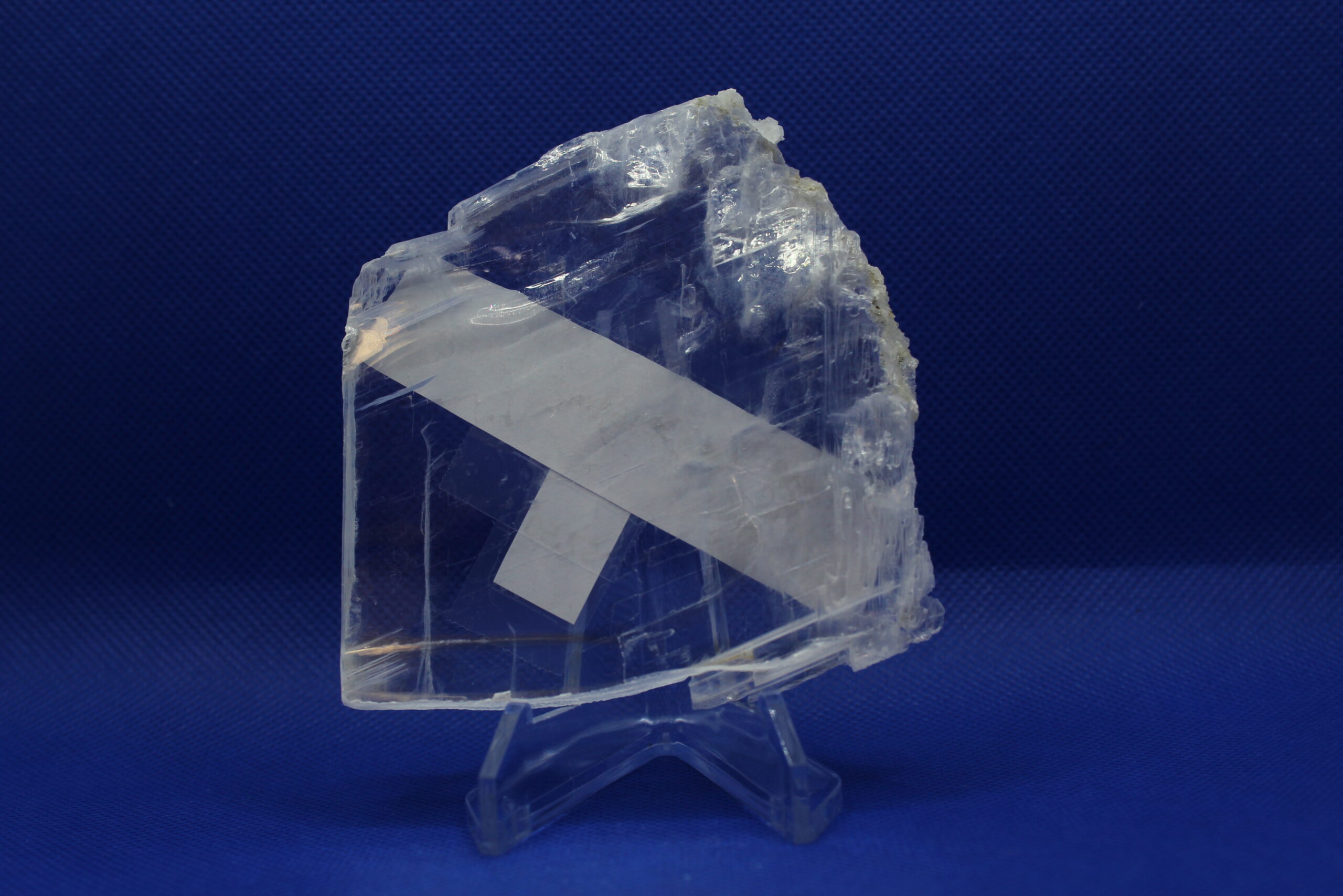 Selenite with Coral Altar Piece